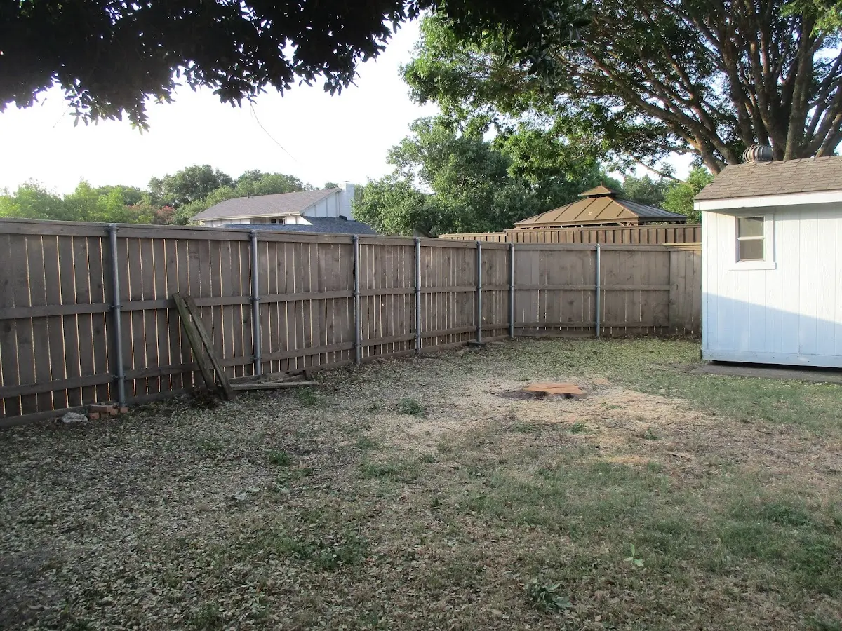 Cleared yard after professional tree removal in Granby
